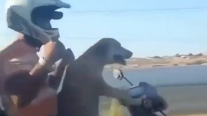 Bruce lịch sự thì dễ gây thiện cảm