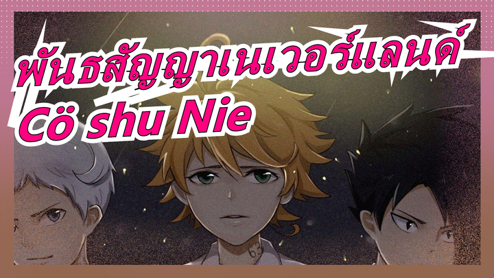 พันธสัญญาเนเวอร์แลนด์|[เสร็จสมบูรณ์]ED-[Cö shu Nie] Cö shu Nie-โคฟเวอร์กลอง