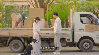谈恋爱 一起养狗 不是件好事。。。。