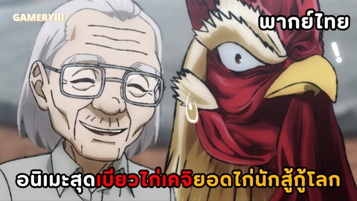“ยอดไก่นักสู้กู้โลก” พากย์ไทย EP.1/2 | เจ้าไก่เคจิไก่โดนเด็กเกรียนวิ่งไล่เลยได้พบกับคุณตาใจดี🐓✨