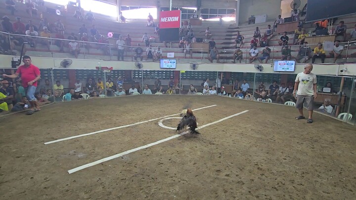 tabla texas