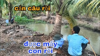 Cuộc Thi Câu Cá Của Tư Cà Khịa Và Cháu Vợ Ai Sẽ Là Người Thắng Và Cái Kết