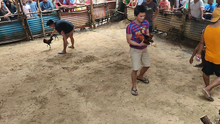 talagang mahiwaga ang sabong hehehe