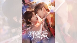 Đóa tường vi hoang dại