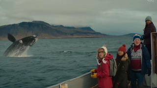 Icelandair's hilarious ad has pissed off Paris, hahaha