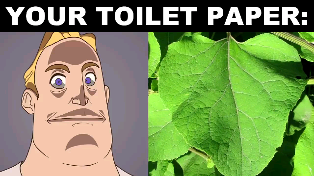 your toilet paper