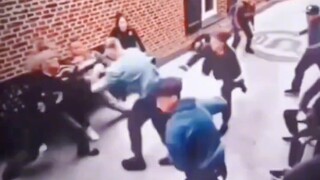 Masyarakat tidak memiliki pohon yang menaungi langit, hanya ada satu hal yang mengalahkan satu hal l