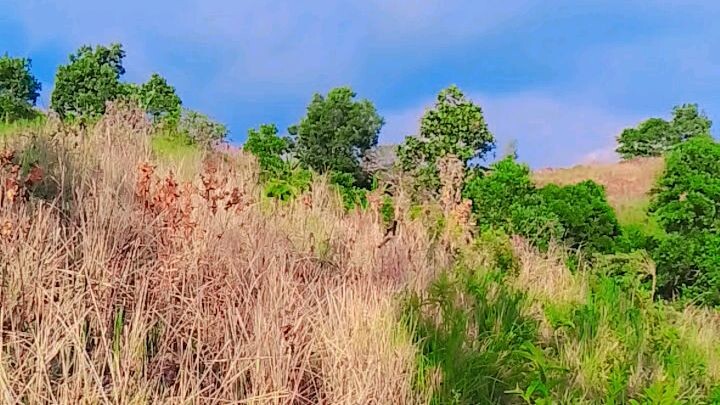 Ang aming bukid🤍