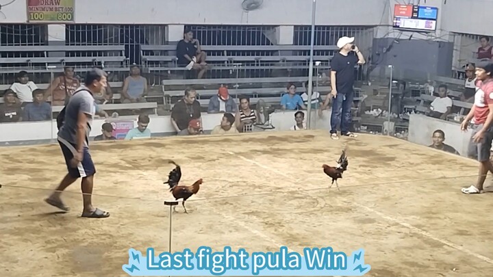 WWLWLWW June1 last fight Win