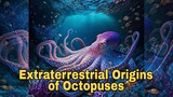 Extraterrestrial Origins of Octopuses