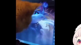 Japanese Lolita couldn't help watching "My Cat Seems to Be in an Online Romance"