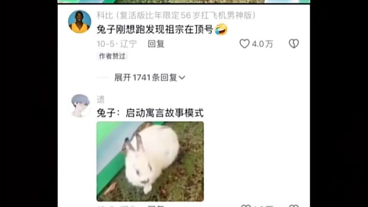 兔子“算了，还是给老祖宗的寓言留点面子吧”
