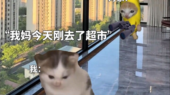 After I got married, I lived equally close to both families.