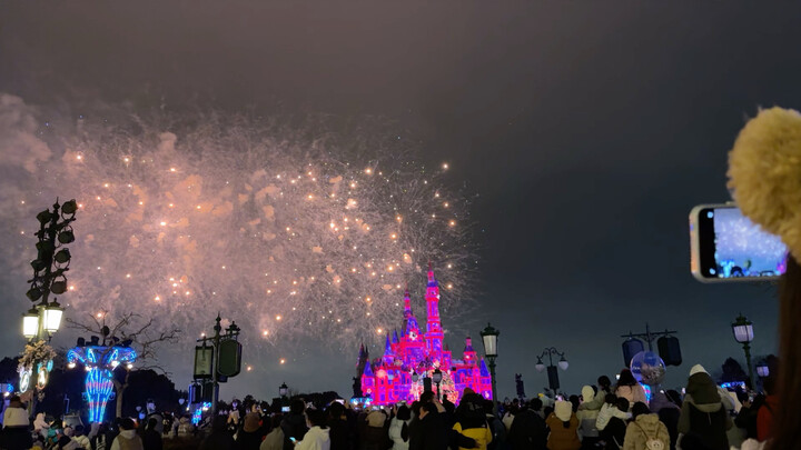 This is the most beautiful fireworks display I’ve ever seenᜊ•͈⌔•͈ᜊ