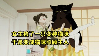 七月新番：女主养了一只比自己还大的猫咪，还被猫赶出家门工作