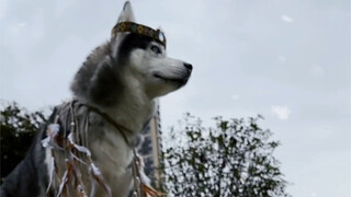 我狼族部落申请出战