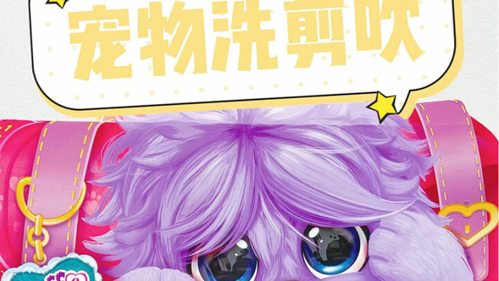 Pet Grooming—Already Starting to Prepare for the Salon