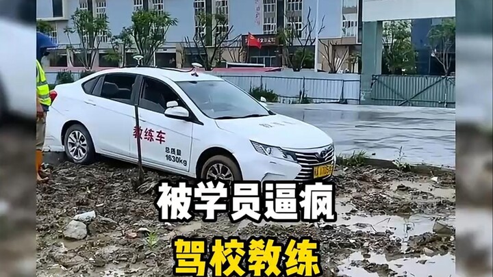 盘点被学员逼疯的驾校教练，全是卧龙凤雏#搞笑视频
