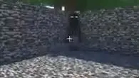 Enderman are sussy 😳