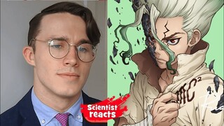 Scientist REACTS to Dr. Stone