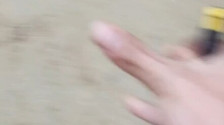 Thế này còn vui hơn cả Tết!