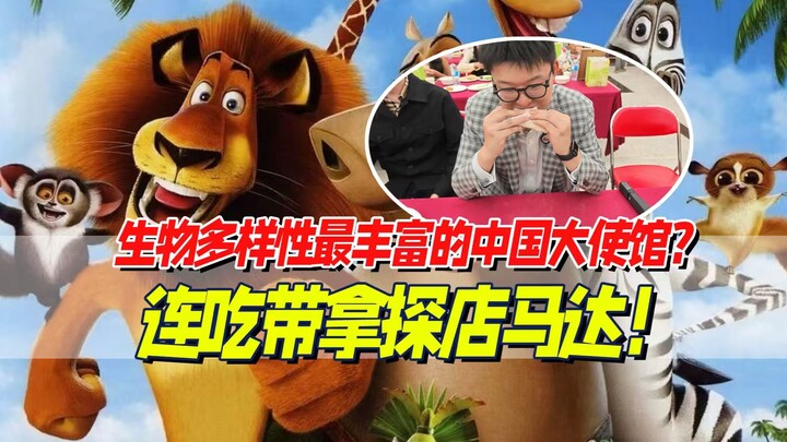 Madagascar không có chim cánh cụt, nhưng có các nhà ngoại giao Trung Quốc! Hành trình khám phá đầu t