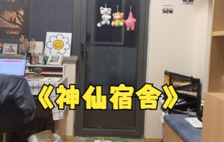 Five-star dorms: kitchen, washing machine, fridge, and single rooms!