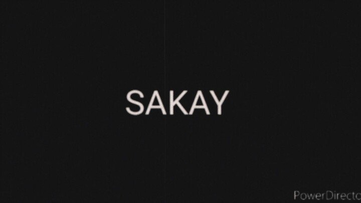 Sakay 1993