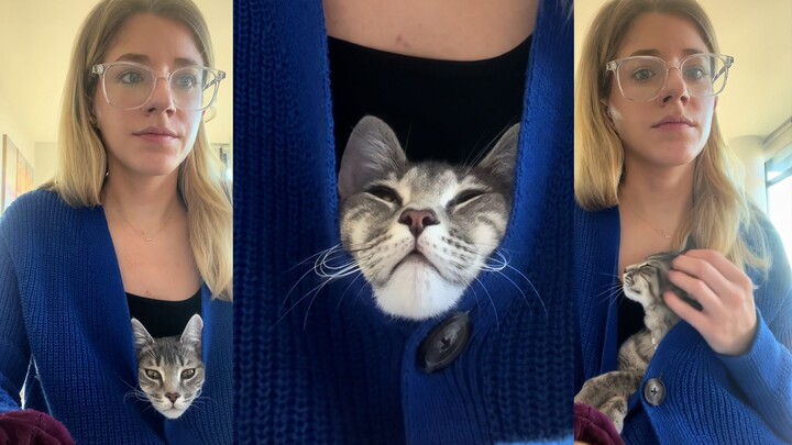 A clingy cat—its clinginess is deadly!