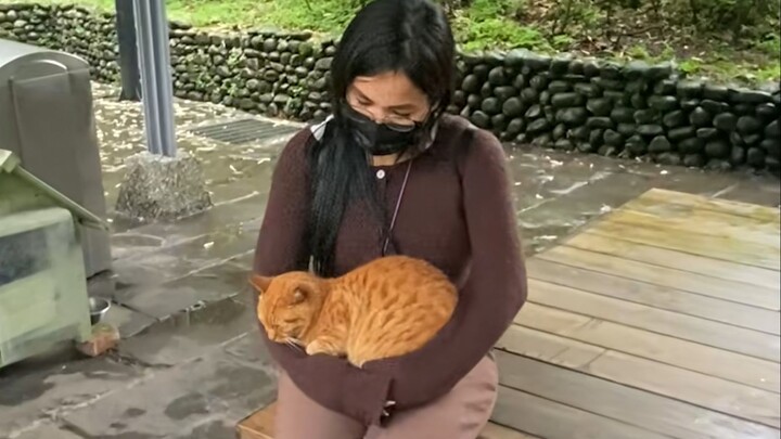 “Đây có lẽ chính là lý do người ta nuôi mèo!”