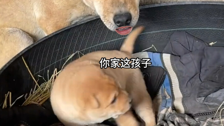 Every family has its own troubles.