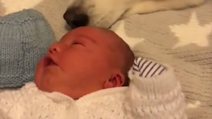 Aku mungkin nggak akan jadi temanmu seumur hidup, tapi aku bakal terus jadi temanmu selamanya. Si an