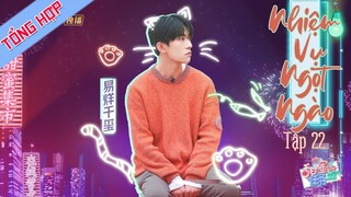 【Vietsub】 Nhiệm Vụ Ngọt Ngào - Tập 22 | Tổng hợp các Idol ở Khu Chợ Ngọt Ngào