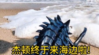 杰顿宝宝第1次来海边居然遇到了？