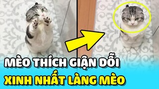 💥 Nàng mèo THÍCH GIẬN DỖI xinh xắn muốn sen phải CHIỀU CHUỘNG mình | TIN GIẢI TRÍ