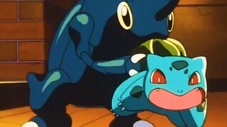 Bulbasaur dan Kehidupan Sehari-hari Raja Serangga yang Bahagia