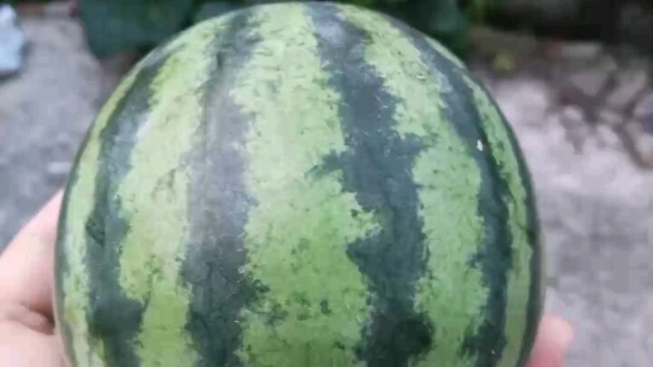 watermelon