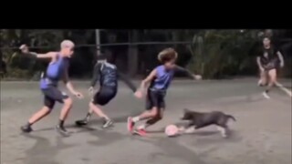 "How Can You Not Love Baseball Like This" (39)