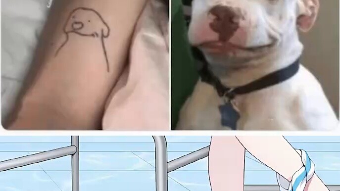 كيف تلاحقين هذا النوع من الرجال