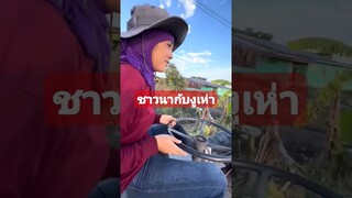 ชาวนากับงูเห่า #funny #awesome #reels #คลิปตลก