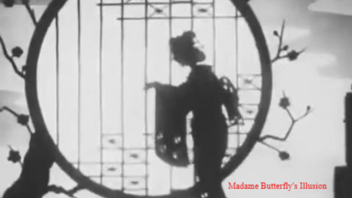 Madame Butterfly's Illusion