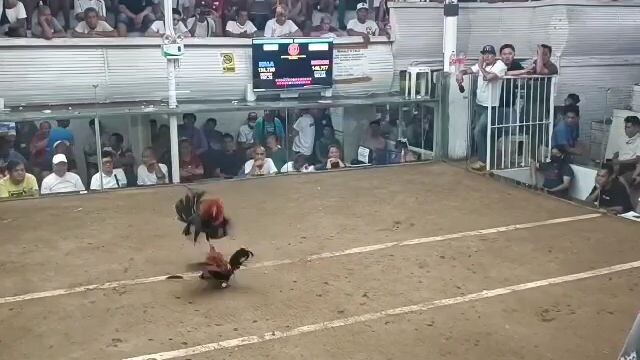 talo nanaman tayo 🥹