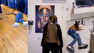 สุนัขจะดูดีหรือไม่ ขึ้นอยู่กับว่ามันขี้เกียจหรือเปล่า