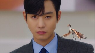 1 MINS STRAIGHT OF KANG TAE MOO ( AHN HYO SEOP ) ARCHAEOPTERYX VOICE  #안효섭 #AhnHyoSeop #PaulAhn