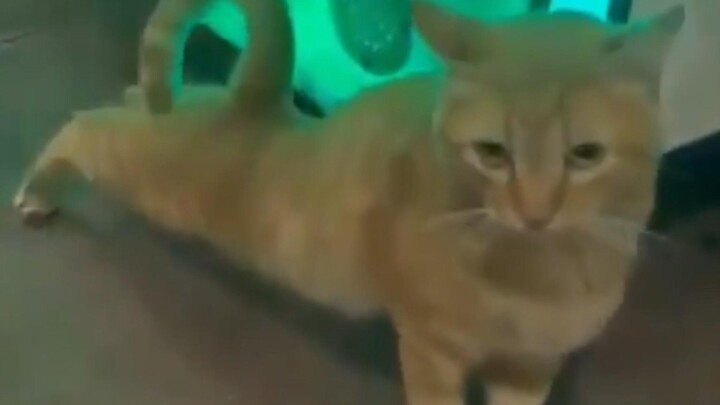Mesin capit menangkap model tersembunyi