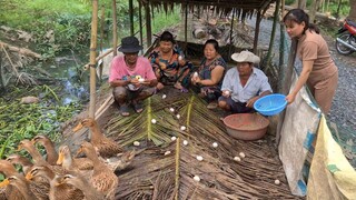 Quá Bất Ngờ Vịt Đẻ Thấy Ham Chỉ Có 15 Con Vịt Mái Mà Lượm Được Cả Rổ | TKQ & Family T1046