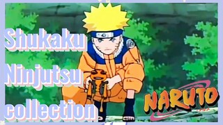 Shukaku Ninjutsu collection