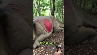 Ikut Adek Lihat Dino Besar ⁉️ #dinosaur -#shorts #funnyvideos #comedydubbing