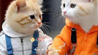 cute 🥰😍😍