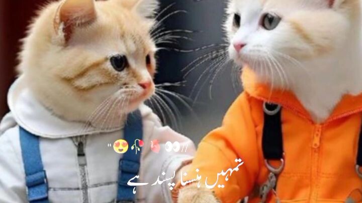 cute 🥰😍😍